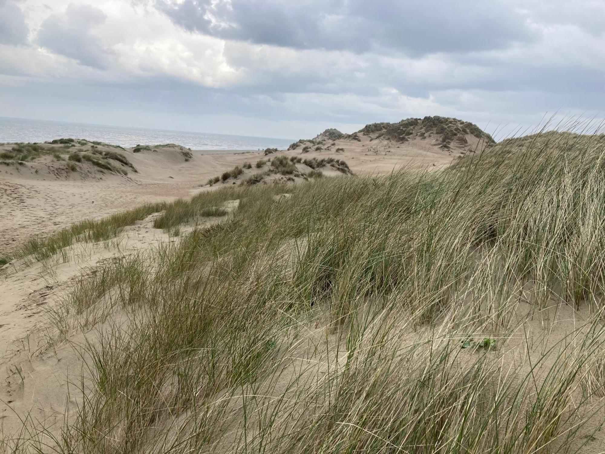 Terduinen Villa Oostduinkerke Eksteriør bilde